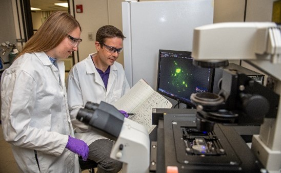 Professor Ryan Hansen explains research findings to a student